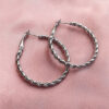 Stainless steel silver hoops