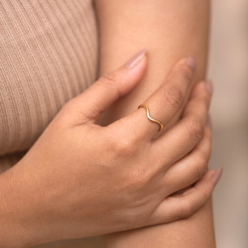 Alternative view of Lunar tide ring