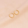 Canopus Hoops